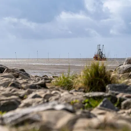 Medemsand 12 Ferienhaus *